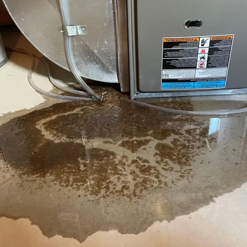Pipe Burst and Leak Restoration in New Milford, NJ